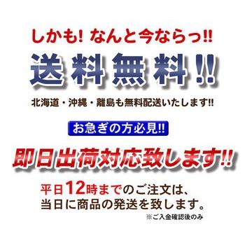 シーラー 業務用 「ハイパー足踏みシールくん30cm」超強力｜hanamaru-sealer｜05