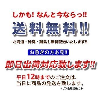 シーラー 業務用 「ハイパー足踏みシールくん40cm」超強力 : 見聞堂 