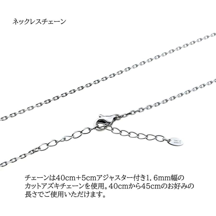 Jewel of Memory 遺骨ペンダント 遺骨ネックレス 手元供養 メモリアル 遺骨入れ ステンレス 316L メンズ レディース ハ Jewel of Memory 遺骨ペンダント 遺骨ネックレス 手元供養 メモリアル 遺骨入れ ステンレス 316L メンズ レディース ハ