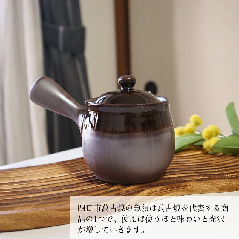 萬古焼 急須 未来形 2号 平網 アメ おしゃれ 日本製 ティーポット 茶器