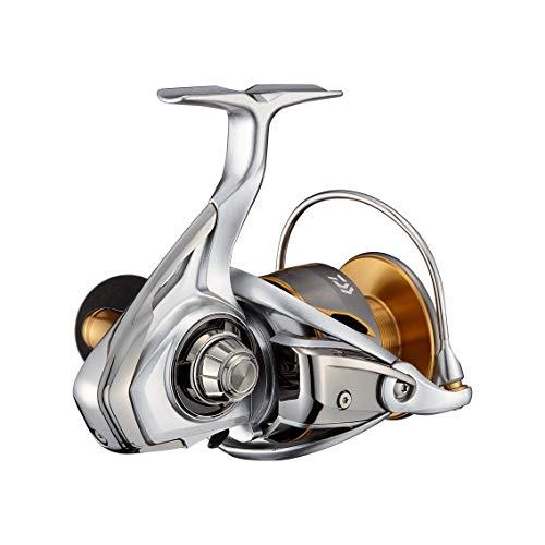 ダイワ(DAIWA) 21 フリームス LT6000D-Hの画像