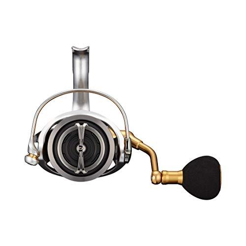 ダイワ(DAIWA) 21 フリームス LT6000D-Hの画像