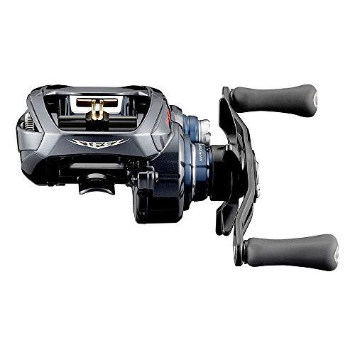 ダイワ(DAIWA) 21 スティーズ A TW HLC 7.1L : Mantendo 良品ヤフー店