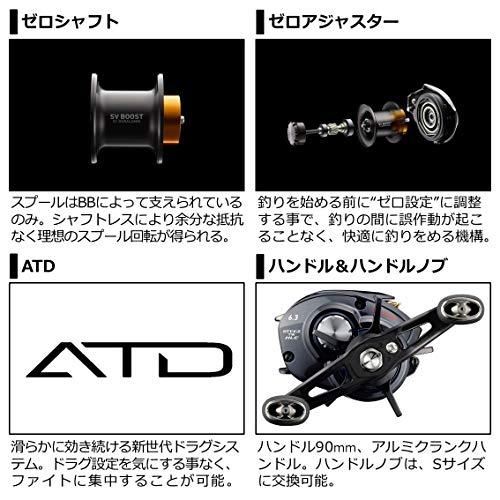 ダイワ(DAIWA) 21 スティーズ A TW HLC 7.1L : Mantendo 良品ヤフー店