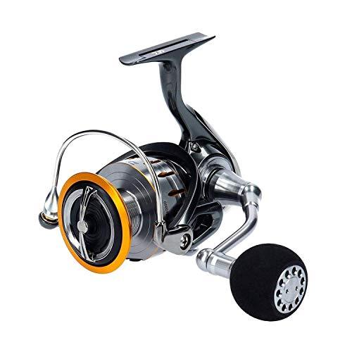 ダイワ(DAIWA) スピニングリール 18 ブラスト LT6000D(2018モデル 