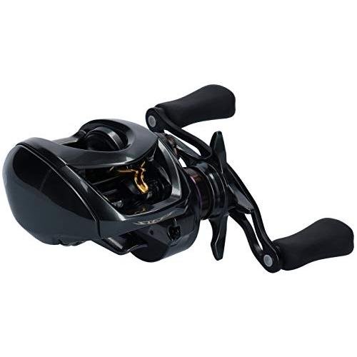 ダイワ(DAIWA) ベイトリール 19 スティーズ CT SV TW 700XHL (2019モデル)の画像