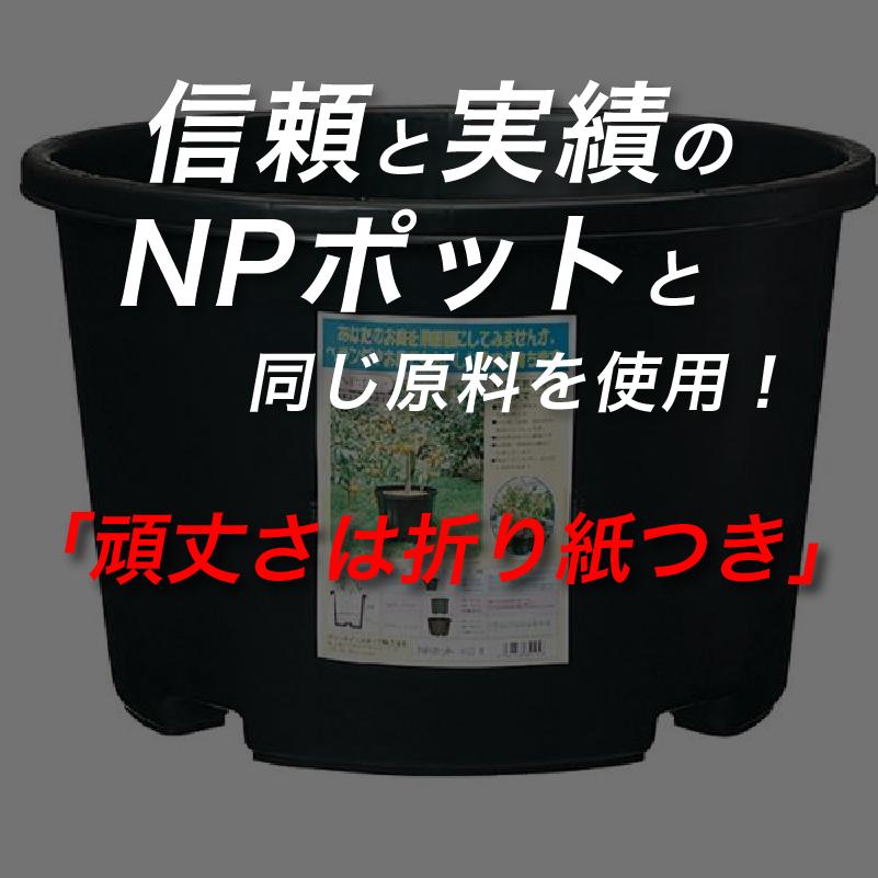 NPポット スリット型 12L （10号鉢相当）植木鉢 : 花実樹(はなみき