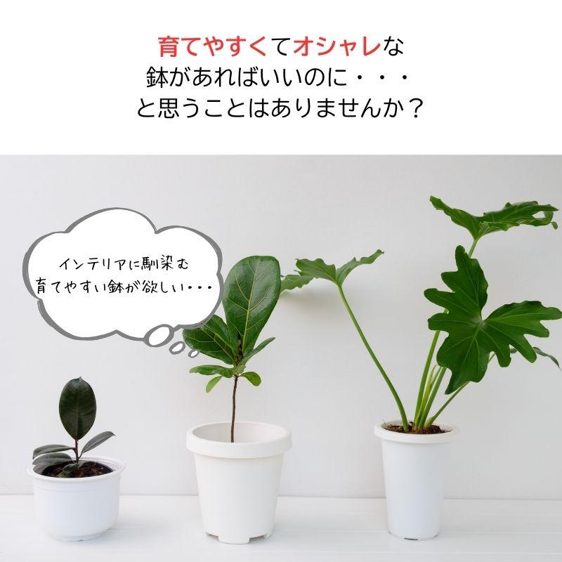 スリットオアシス 5号 スリット鉢 ホワイト グレー : 花実樹(はなみき