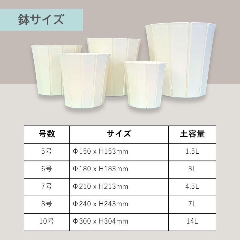 新品未使用 福村龍太 銀彩 白日 hakujitu 鉢 花器 植木鉢 植木鉢 白