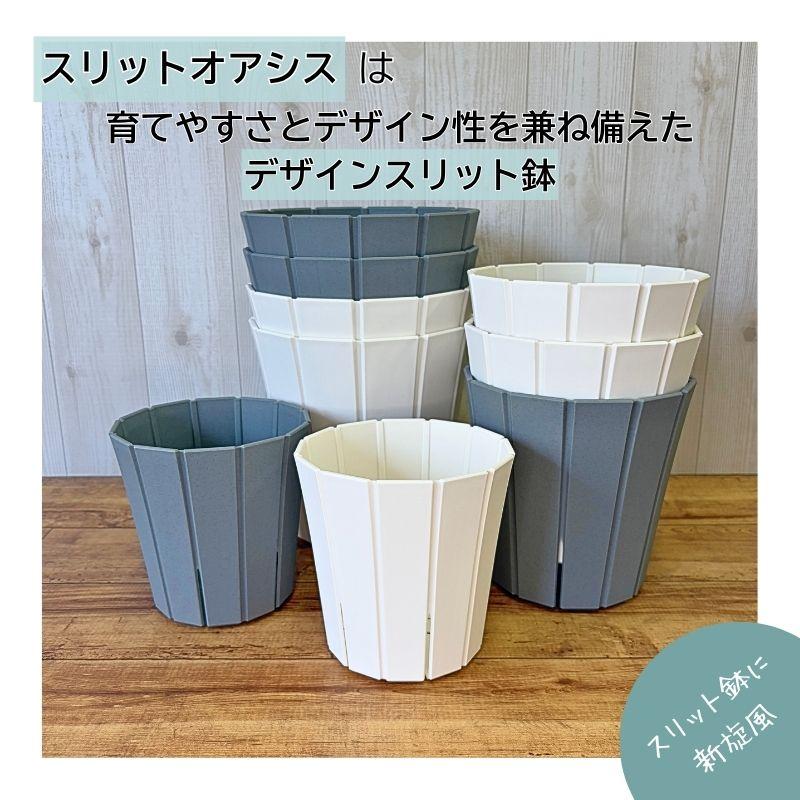 スリットオアシス 6号 5個セット スリット鉢 ホワイト グレー : 花実樹