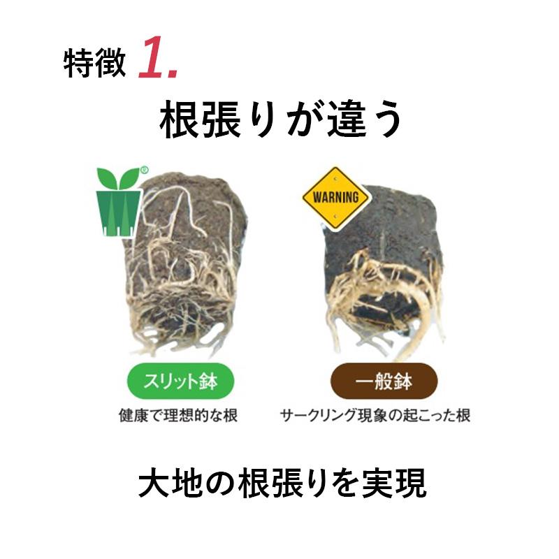 スリット鉢 4〜8号 セット 【ロングタイプ】 4号 5号 6号 7号 8号 1鉢