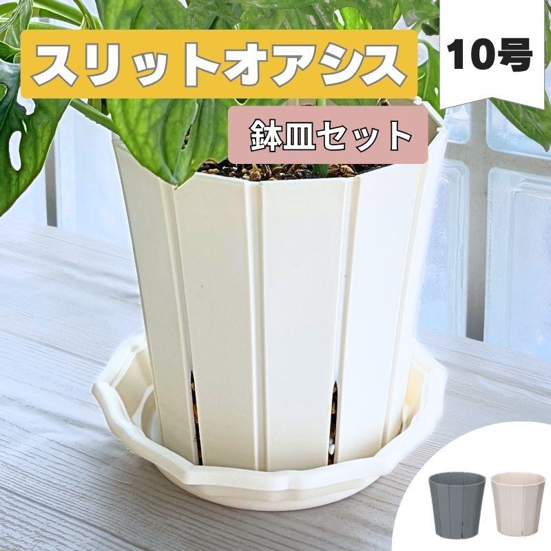 スリットオアシス 10号 鉢皿セット スリット鉢 ホワイト グレー : 花