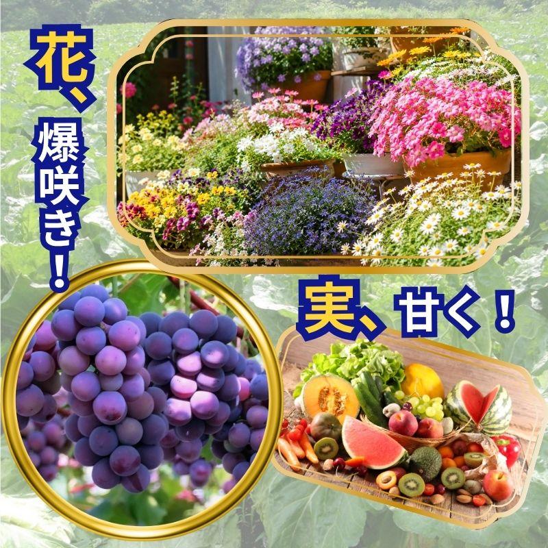 バットグアノ 300g 1袋 : 花実樹(はなみき)ヤフー店 - 通販 - Yahoo