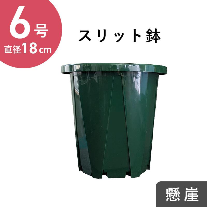 樹脂盛り鉢180個 6号スリット鉢 懸崖タイプ（グリーン）直径18cm CSK-180 : 花実樹(はな