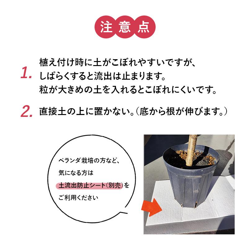 7号スリット鉢 直径21cm CSM-210 容量約4.3L 標準型 : 花実樹(はな