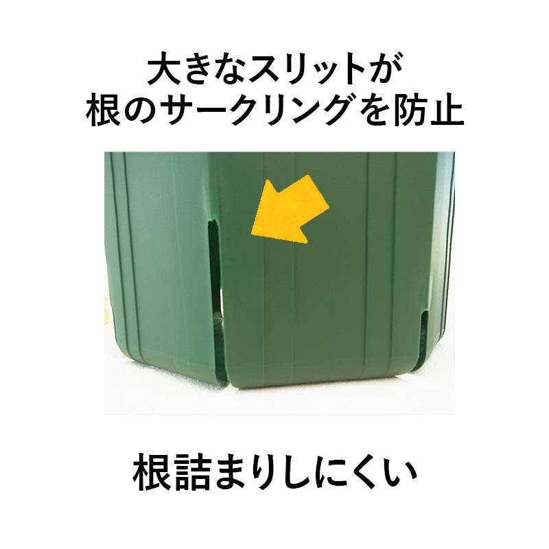 兼弥 7号スリット鉢（ロングタイプ）直径21cm CSM-210L 容量約5.1L