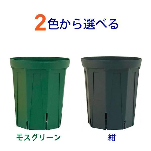 8号スリット鉢 ロングタイプ 60個入りケース販売 【送料無料】 ※代引不可 北海道・沖縄・離島は別途送料 CSM-240L