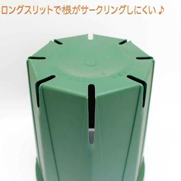 8号スリット鉢(ロングタイプ)直径24cm 2色から選べる CSM-240L 容量約8.6L :csm-240l:花実樹ヤフー店 - 通販 - Yahoo!ショッピング 8号スリット鉢(ロングタイプ)直径24cm 2色から選べる CSM-240L 容量約8.6L :csm-240l:花実樹ヤフー店 - 通販 - Yahoo!ショッピング