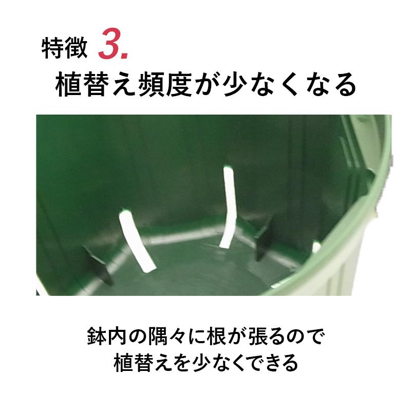 8号スリット鉢（ロングタイプ）直径24cm CSM-240L 容量約8.6L モス