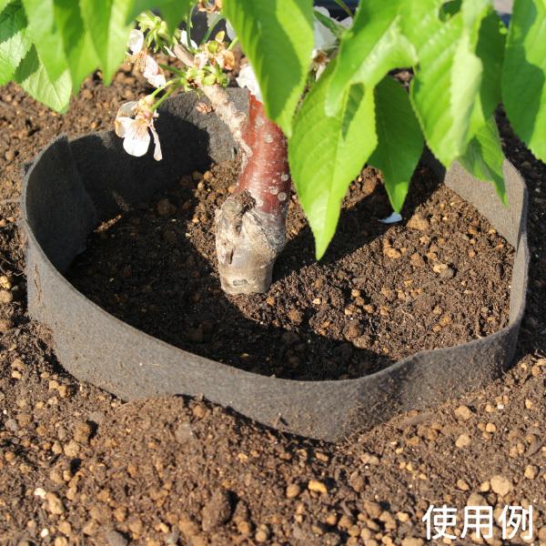 ★根域制限【不織布ポット JマスターK100】 直径100cm×深さ100cm 10枚入 ※代引き不可の画像