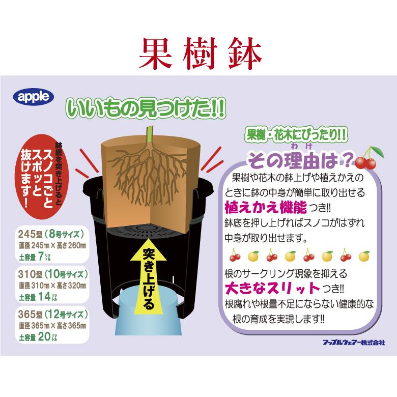 果樹鉢365型 直径36.5cm 約12号 スリット鉢 : 花実樹(はなみき 果樹鉢365型 直径36.5cm 約12号 スリット鉢 : 花実樹(はなみき