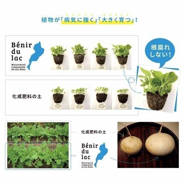 ＜オーガニック肥料＞湖の恵　Benir du lac　350g｜hanamiki｜06