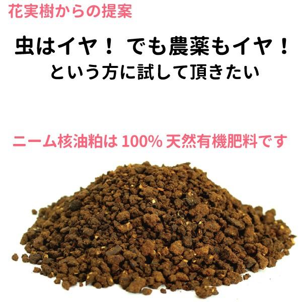有機肥料 ニーム核油かす 1kg 油粕 油糟 無農薬栽培に使える|hanamiki|03