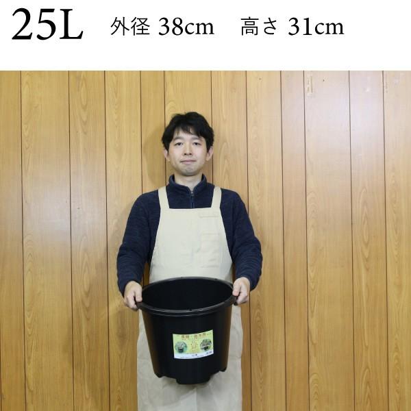 大型 プラ鉢 25リットル鉢 10個入りケース販売【送料無料】 #25 植木鉢