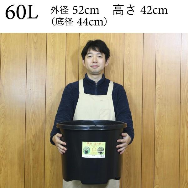 大型 プラ鉢 60リットル鉢 20個入りケース販売 ※代引不可 #60 植木鉢