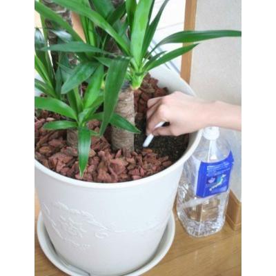 水やり楽だぞぅ 4本入り × 3袋セット【メール便送料無料】自動潅水