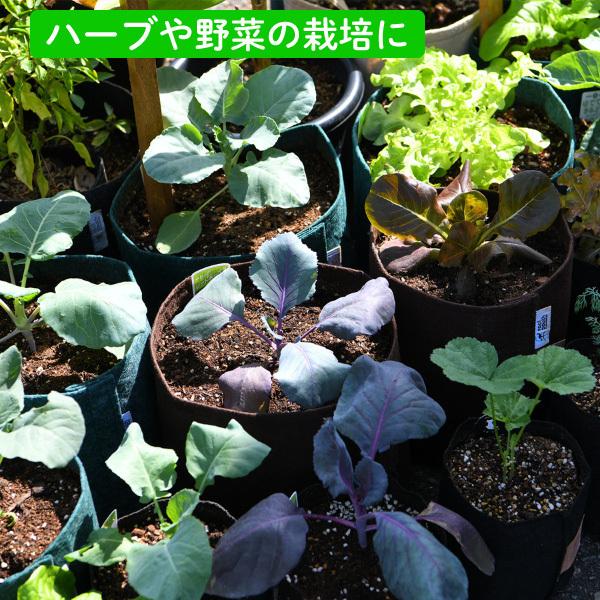 root pouch (ルーツポーチ) 直径25.5cm 【メール便送料無料】 持ち手の 