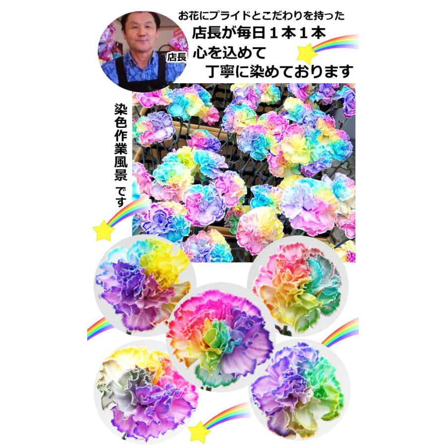 ミニオン お誕生日 レインボー カーネーション 母の日 バルーン フラワー プレゼント アレンジメント 生花 Balloon80 バルーン電報 花ギフト 花模様 通販 Yahoo ショッピング