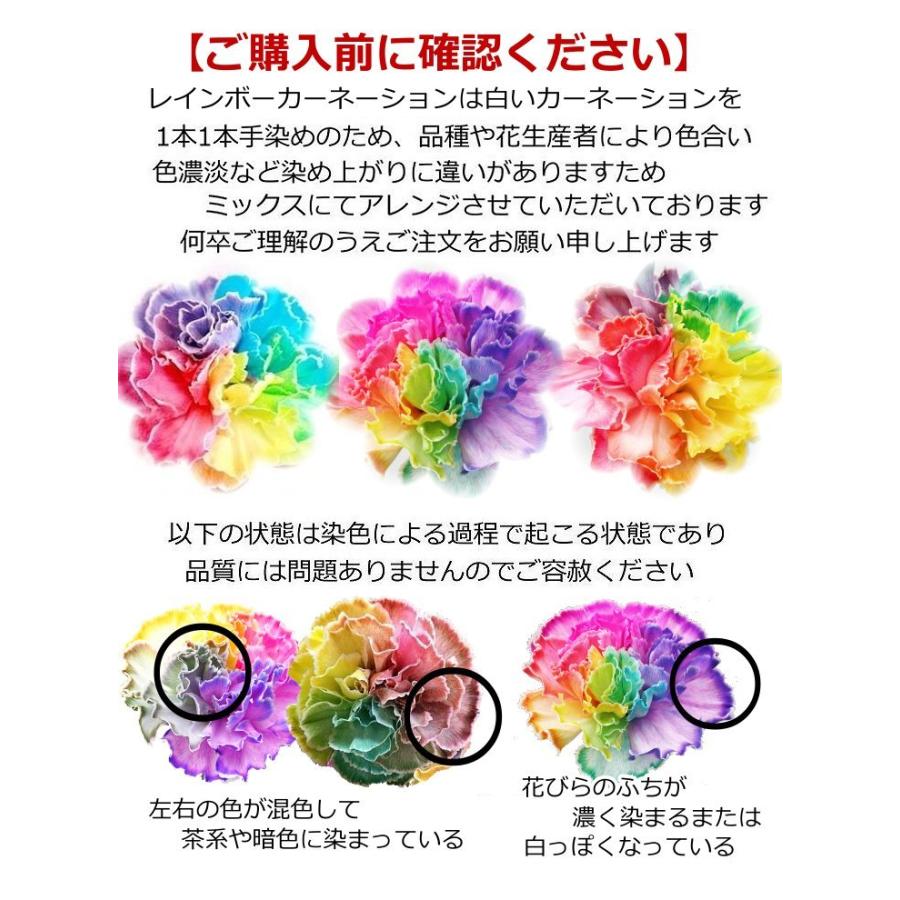 生花 プレゼント レインボーカーネーション バルーン フラワー ギフト Mother56 バルーン電報 花ギフト 花模様 通販 Yahoo ショッピング