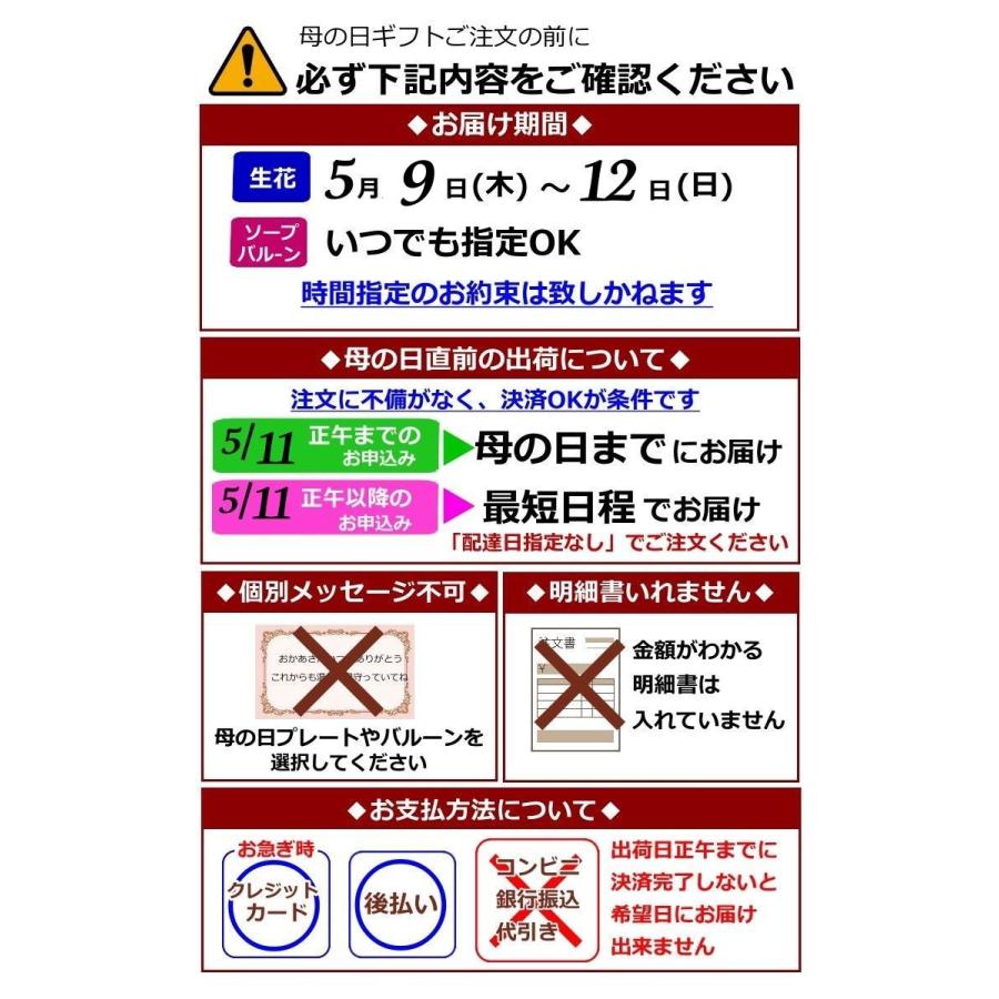 生花 母の日 ギフト プレゼント レインボーカーネーション フラワー お誕生日 贈り物 誕生日 発表会 結婚式 記念日｜hanamoyou2｜02