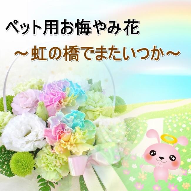 ペット用 お悔やみ花 レインボーカーネーション入り お供えアレンジメント 生花アレンジメント Petmemorial バルーン電報 花ギフト 花模様 通販 Yahoo ショッピング