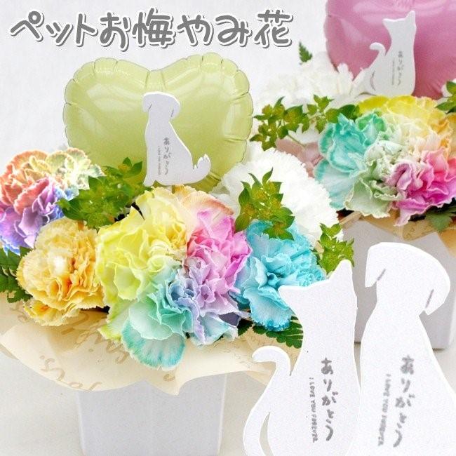 生花 ペット レインボーカーネーション お悔やみ花 贈り物 お供え 愛犬 猫 命日 仏花 四十九日 初盆 お盆 法事 供養 法要 アレンジメント Petmemorial05 バルーン電報 花ギフト 花模様 通販 Yahoo ショッピング