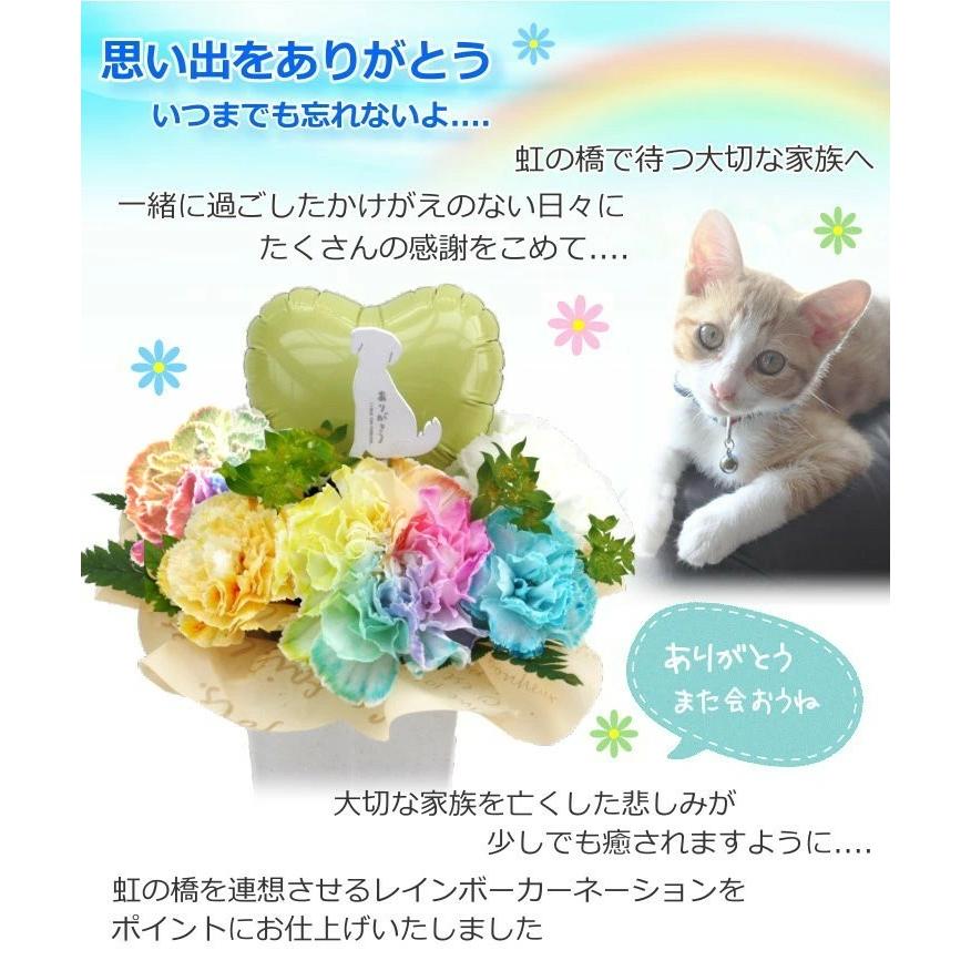 生花 ペット レインボーカーネーション お悔やみ花 贈り物  お供え 愛犬 猫 命日 仏花 四十九日 初盆 お盆 法事  供養  法要 アレンジメント｜hanamoyou2｜09