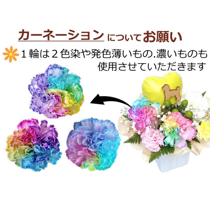 生花 ペット レインボーカーネーション お悔やみ花 贈り物 お供え 愛犬