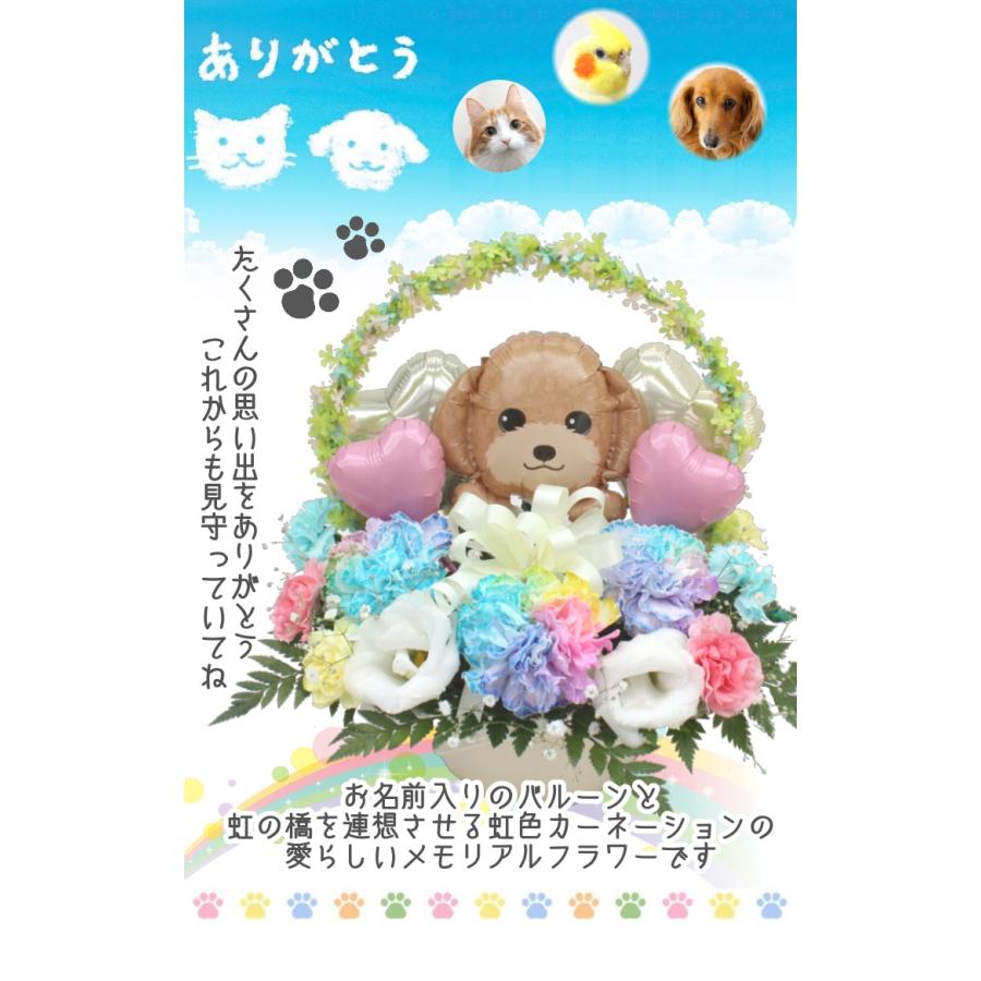 生花 ペット用 お悔やみ花 贈り物 レインボーカーネーション お供え 愛犬 命日 仏花 四十九日 初盆 お盆 法事 供養 法要 アレンジメント｜hanamoyou2｜04