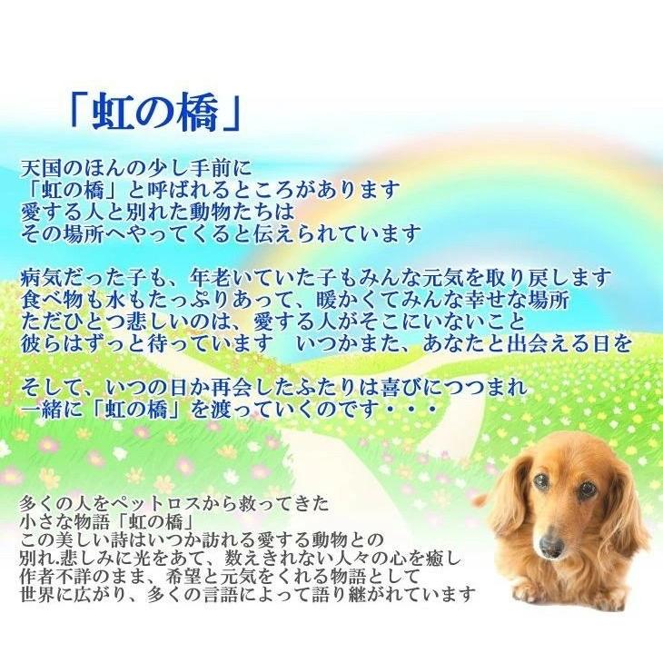 ソープフラワー ペット用 お悔やみ花 贈り物 レインボーローズ お供え 愛犬 命日 仏花 四十九日 初盆 お盆 法事  供養  法要｜hanamoyou2｜07