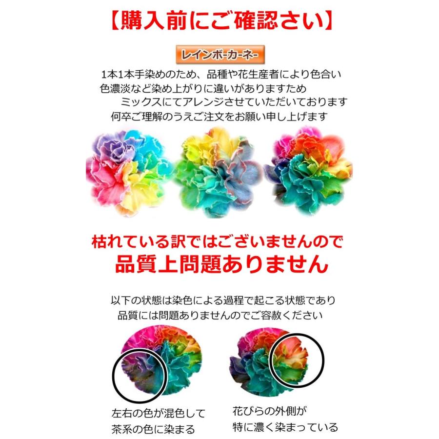元のリトル グリーン メン 言葉 インスピレーションを与える名言