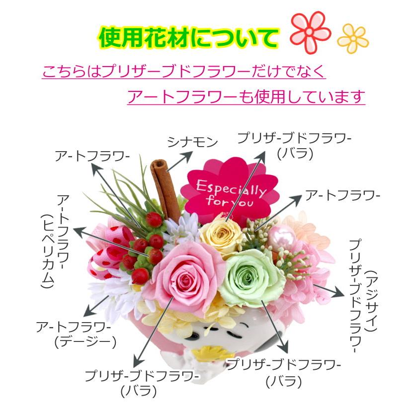 スヌーピー クリアケース プリザーブドフラワー 造花 アレンジメント お誕生日 プレゼント Snoopy034 バルーン電報 花ギフト 花模様 通販 Yahoo ショッピング