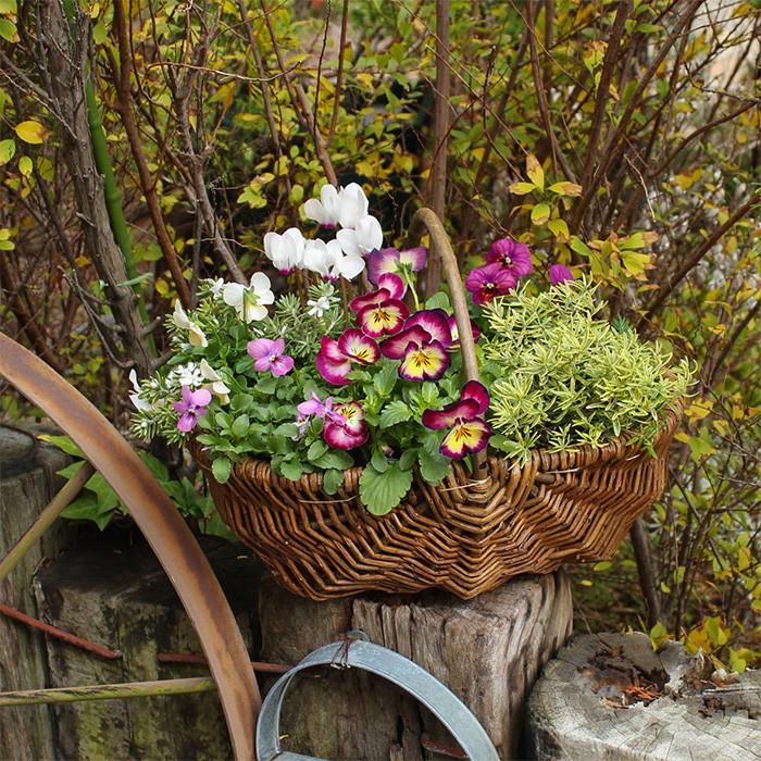 ウィロー ハンドル付き 楕円 インナー バスケット プランター 寄せ植え用鉢 0178 花苗園芸店なごみ 通販 Yahoo ショッピング