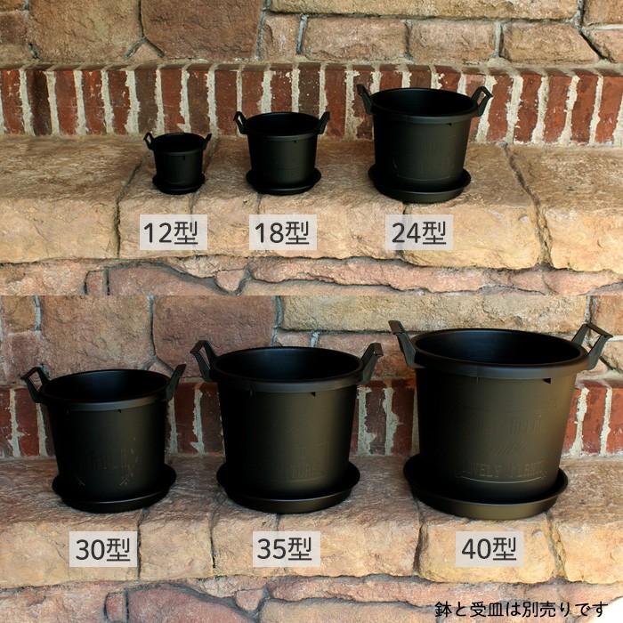 グロウコンテナ 24型 8号鉢 プランター : 花苗園芸店なごみ - 通販