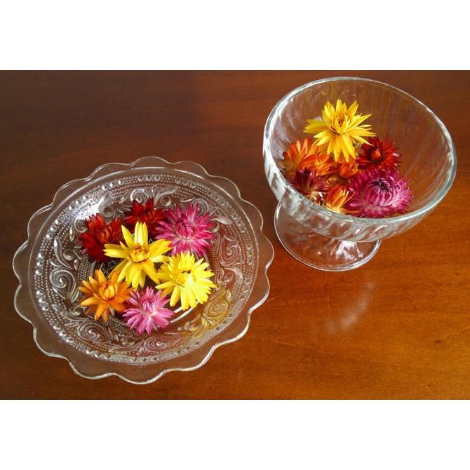 サントリーフラワーズ コロロ 3 5号ポット 花苗 花苗園芸店なごみ 通販 Yahoo ショッピング