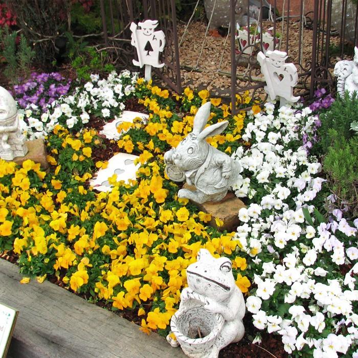 ビオラ 黄系6品種アソート 花苗 24ポットセット ヴィオラ 人気ビオラ