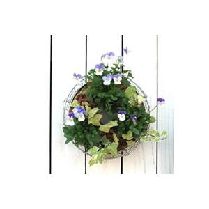 ワイヤーミニカゴのみ ハンギングリース メッシュミニ 壁掛け鉢 単品 Fmp01 gのみ ミニサイズ クリスマスリース 多肉リース 花苗園芸店なごみ 通販 Yahoo ショッピング