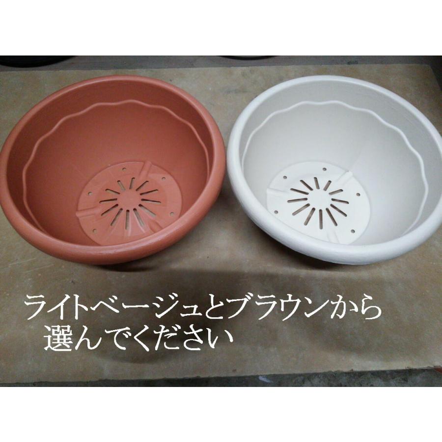 【美品・新品未使用】デンマークブランド　ボール型プランター　ベージュ 美品・新品未使用】デンマークブランド ボール型プランター ベージュ