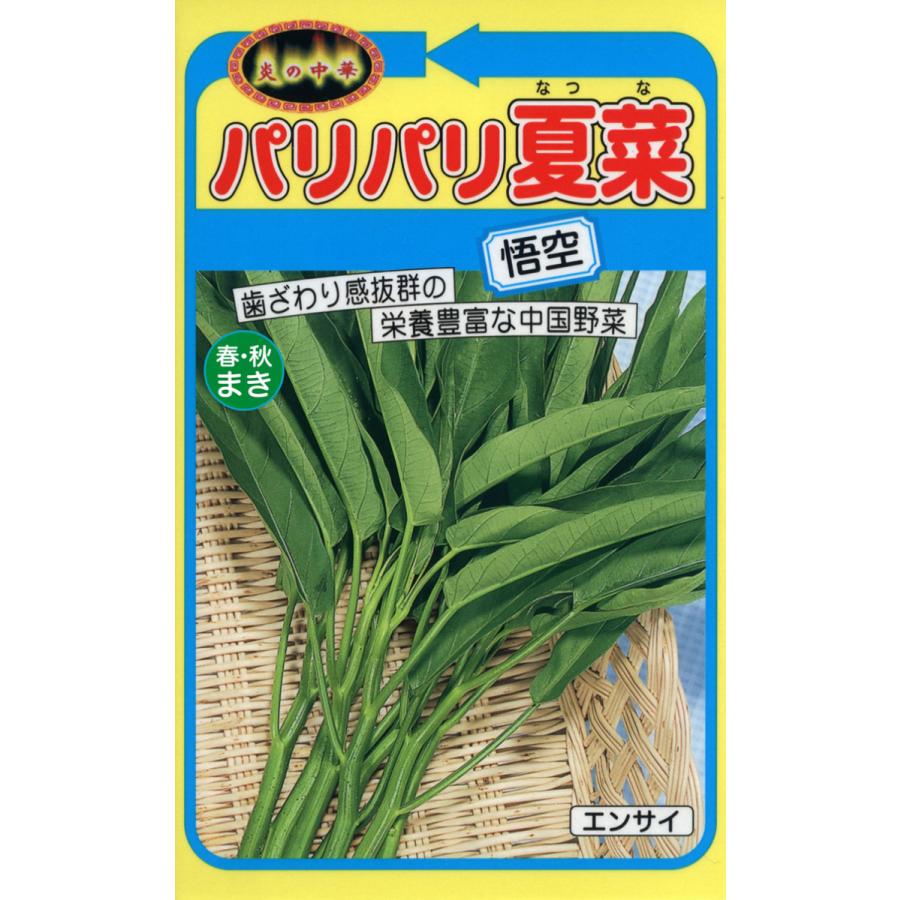 野菜の種 パリパリ夏菜 空芯菜 中国野菜 2袋まで送料73円 優良配送