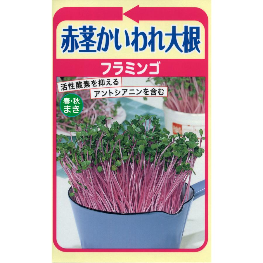 イクナカやふー園芸用品部野菜の種 赤茎カイワレ大根 健康野菜 フラミンゴ ２袋まで送料７３円 かいわれ 超ポイントアップ祭